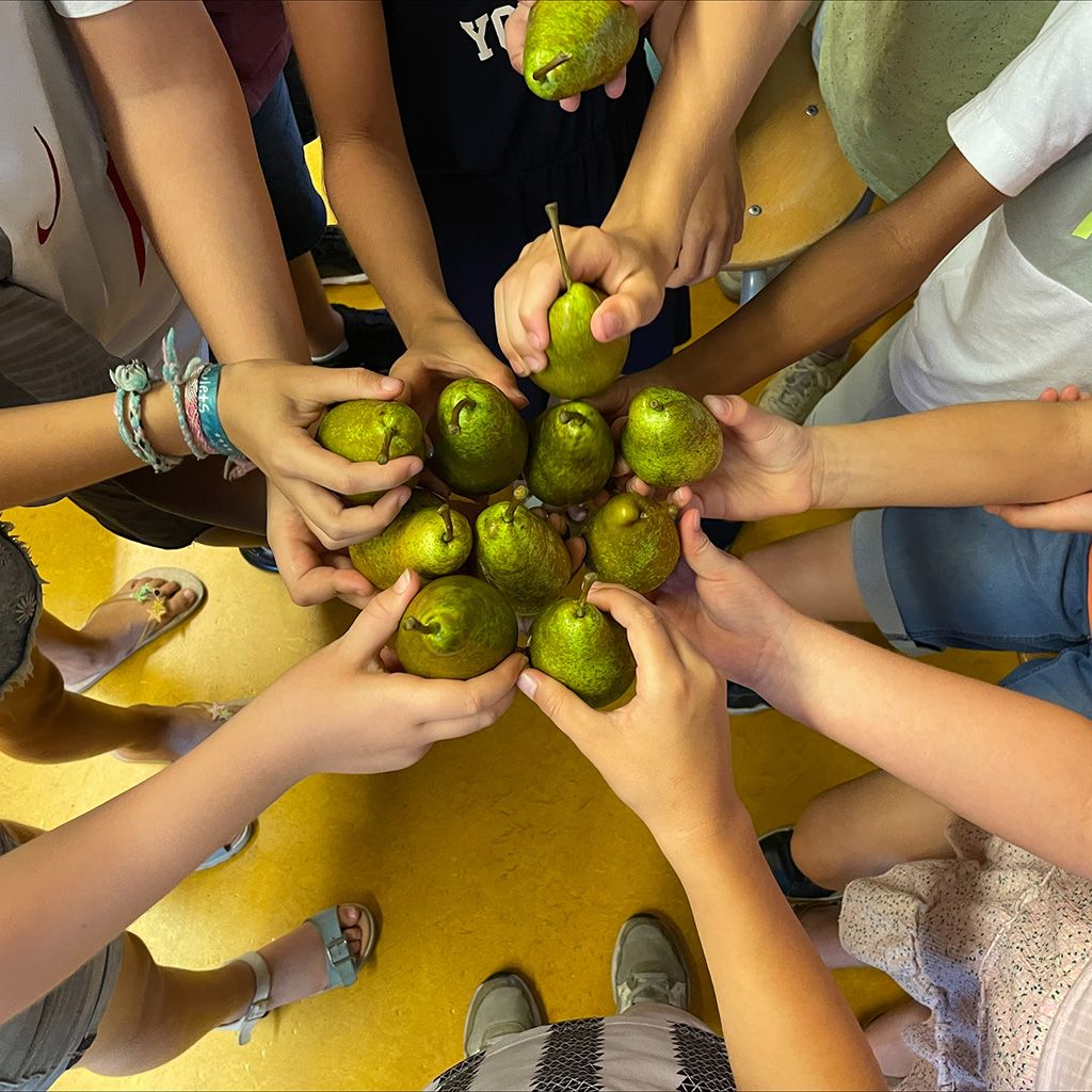 Hoeksche Waard Actief - Educatieplein | Over Ons-Schoolfruit