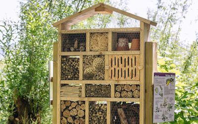 Hoeksche Waard Actief - Educatieplein | Insectenhotel