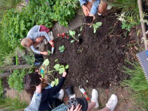 Schooltuinprogramma  ‘BuitenLokaal’